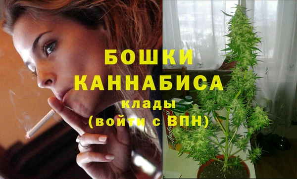 бошки Козельск