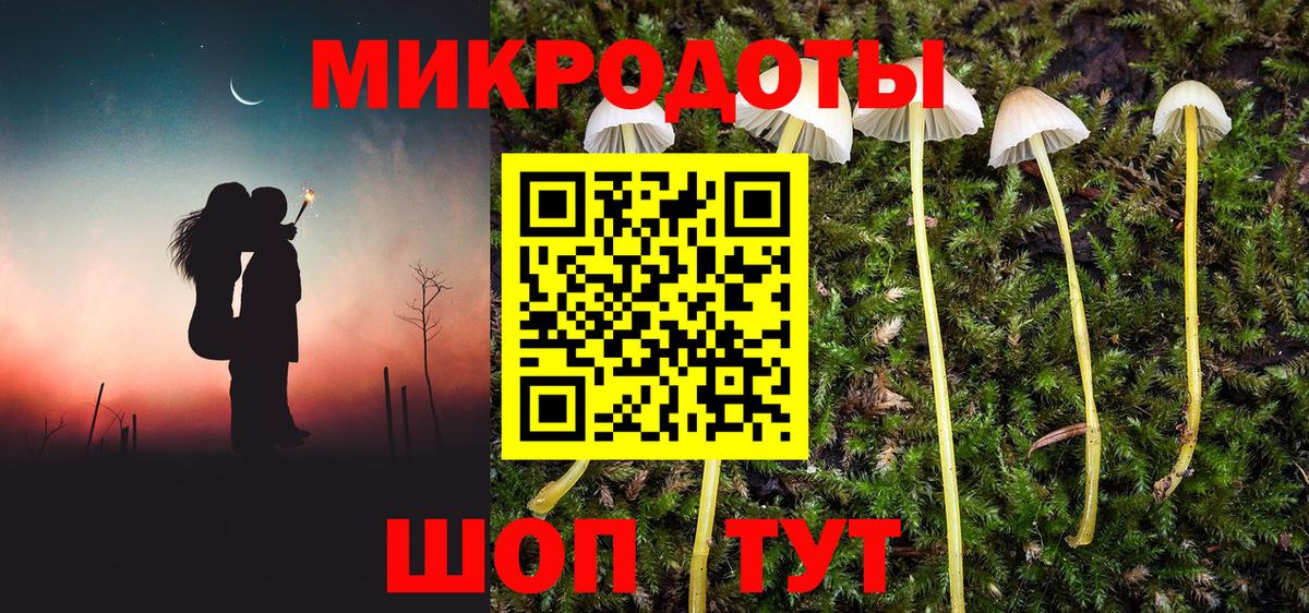 Псилоцибиновые грибы мицелий Бузулук
