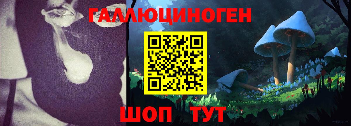 Бузулук  Галлюциногенные грибы GOLDEN TEACHER  Вход с VPN 